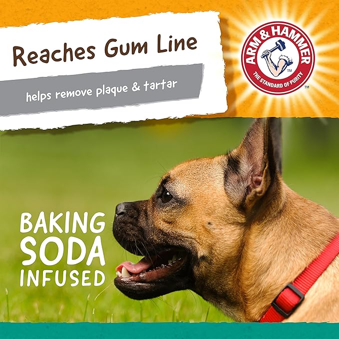 Arm and Hammer Nubbies T-Bone Dental Dog Chew Toy with Peanut Butter Flavor, TPR Nubs Clean Teeth and Gums, Durable Nylon Chew for Aggressive Chewers, Helps Reduce Plaque and Tartar
