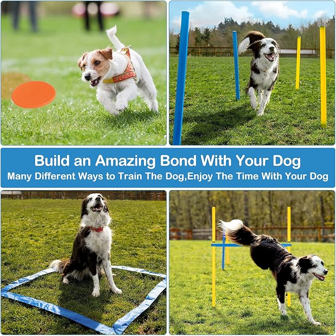 Dog Agility Course Backyard Set - Agility Training Equipment for Dogs Starter Kit-Pet Outdoor Games with Tunnel, Weave Poles, Adjustable Hurdle, Jump Ring, Pause Box, Toys and Carrying Bag