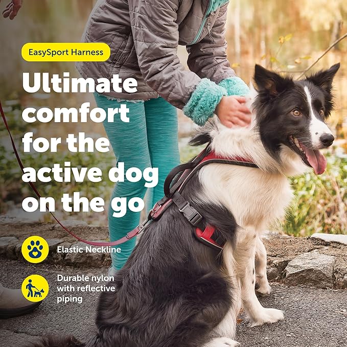 PetSafe EasySport Dog Harness Adjustable Padded Dog Harness with Control Handle and Reflective Piping Extra Small, Red