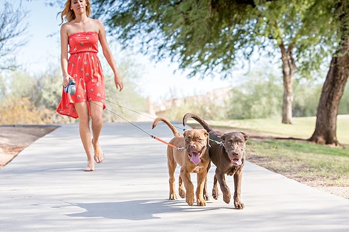 Wigzi - 2025 Edition - 2 Dog Retractable Leash – Featuring Our Incredible Silicone Gel Handle - No Tangle Engineering. Each Dog 50 lb up to 10 ft Distance. Lock and Unlock Easily. Reflective Webbing.