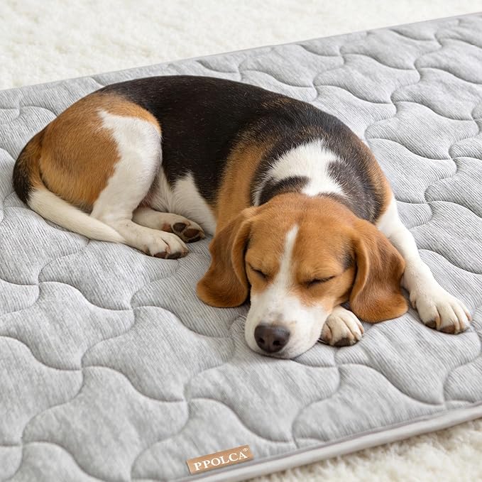 PPOLCA Waterproof Cooling Mat for Small Dogs - Q-MAX>0.5, Thin Memory Foam Kennel Dog Crate Bed, Portable Non-Slip & Machine Washable Dog Pad for Indoor & Outdoor 18x24, Grey