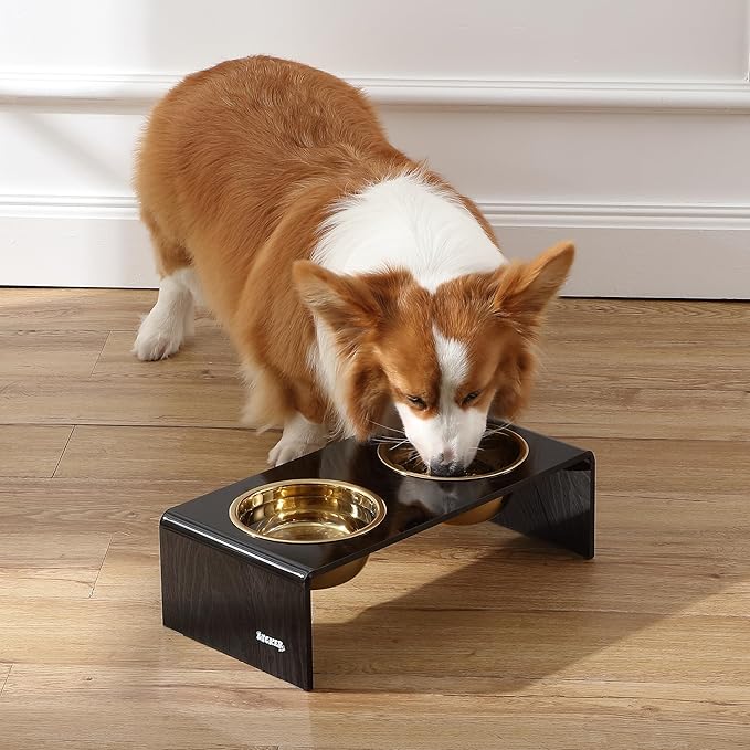 THE LICKER Store DBL2000B Keaton 5" Small/Medium Modern Lucite Rectangular Elevated Pet Feeder with 20oz 2-Stainless Steel Bowls, Black/Gold