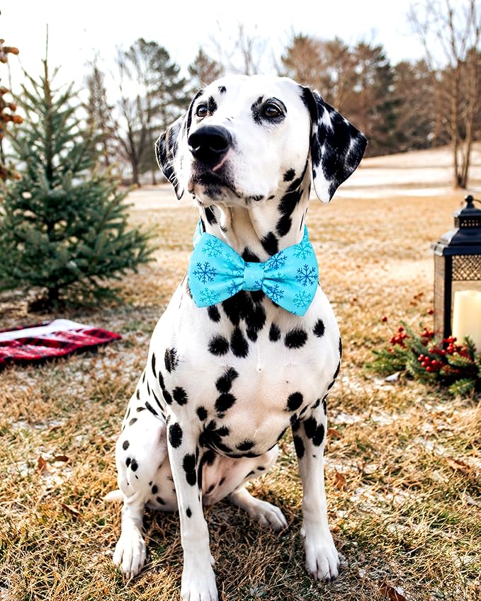 PET SHOW 10 Pack Holiday Big Dog Bow Ties for Large Medium Dogs Alpaca Sliding Collar Attachments Festival Bowties Fall Winter Bowknots Birthday Party Pet Grooming Accessories(Large)