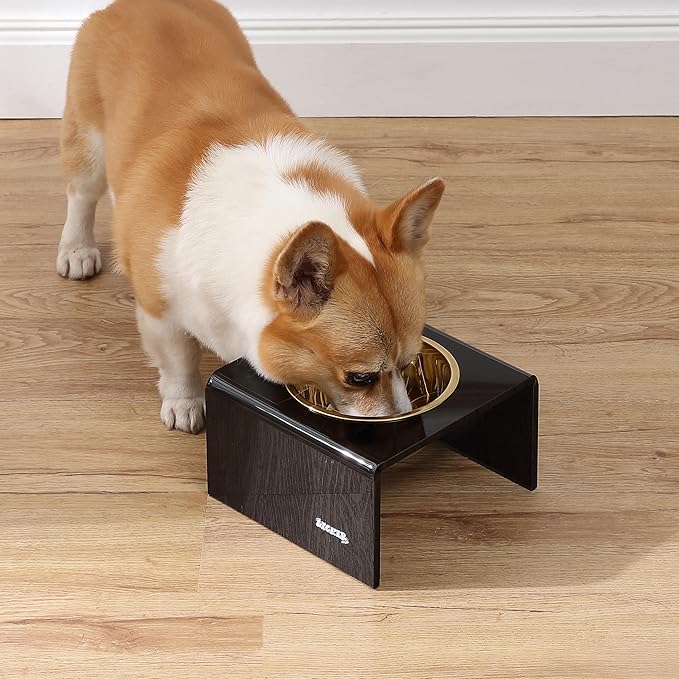 THE LICKER Store DBL2002B Keaton 5" Small/Medium Modern Acrylic Rectangular Elevated Pet Feeder with 20oz 1-Stainless Steel Bowl, Black/Gold