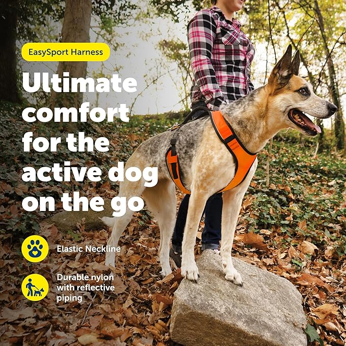 PetSafe EasySport Dog Harness Adjustable, Padded Dog Harness with Control Handle and Reflective Piping Large, Orange