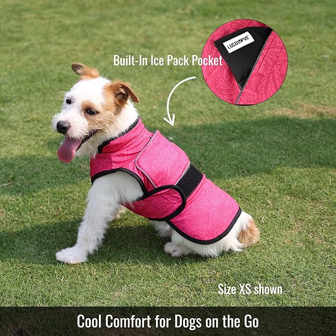 Dog Cooling Vest with Ice Pack – 2-Layer Evaporative Cooling Jacket with High Collar, UV Protection & Size-Matched Ice Pack – Cooling Vest for Dogs for Hot Weather (Pink Floral, X-Small)