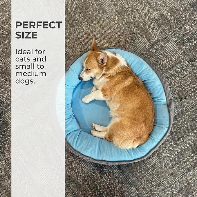 Calming Dog Bed for Small Dogs 16"x20" - Washable Donut Pet Bed with Anti-Slip Bottom, Soft Puppy Bed for Indoor Kittens and Cats with Removable Cover (Sky Blue)
