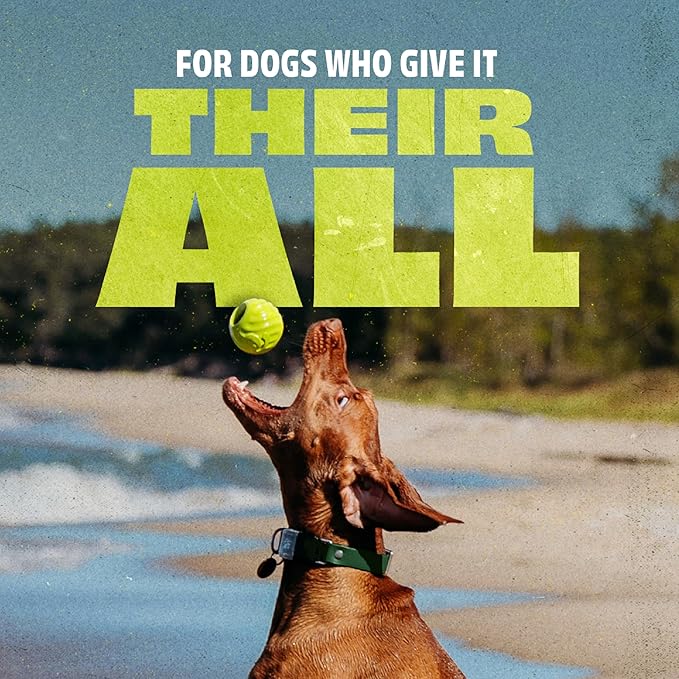 Benebone Natural Rubber Ball, 2-Pack