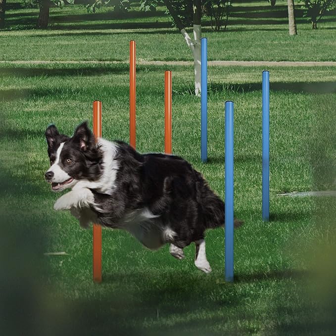Dog Agility Equipment, 28 Piece Dog Obstacle Course for Training and Interactive Play Includes Dog Agility Tunnel, Adjustable Hurdles, Poles, Whistle, Rope Toy with Carrying Case