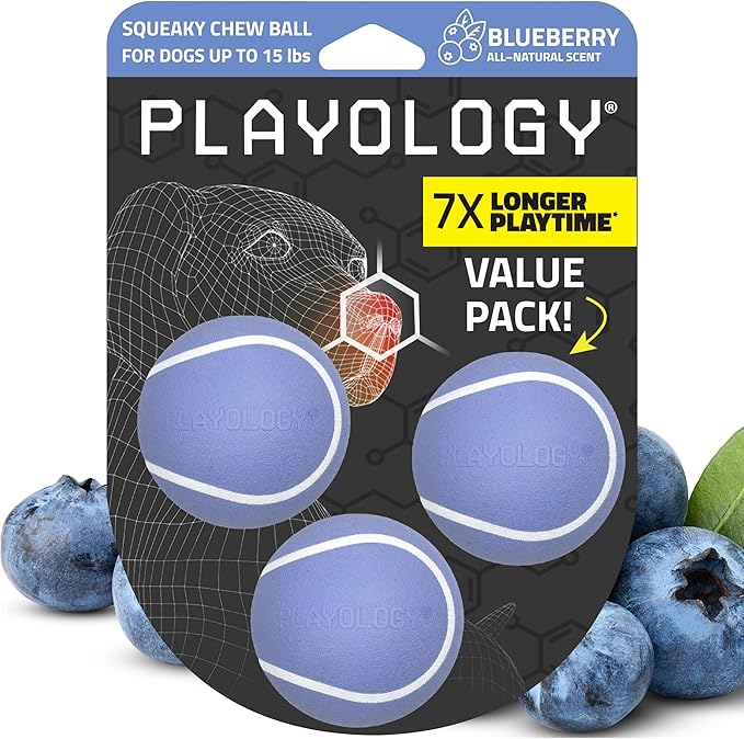 Playology Dog Toys | Squeaky Chew Ball for Dogs, Value 3-Pack | Blueberry Scented Small Dog Balls | Bouncy Floating Chew Toys for Fetch