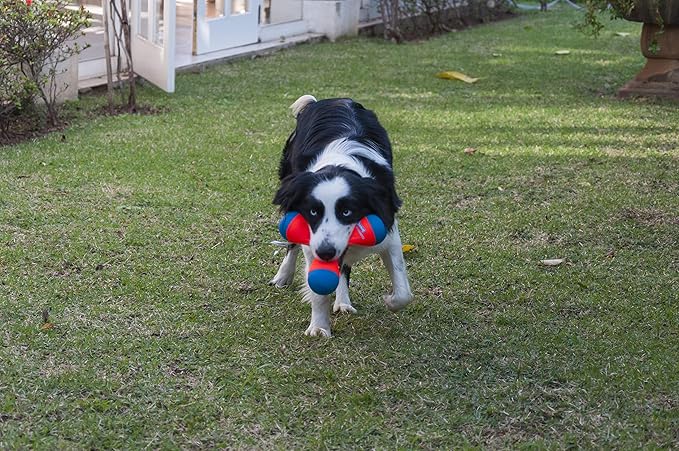 Chuckit! Triangular Fetch & Tug Dog Toy (Pack of 12)