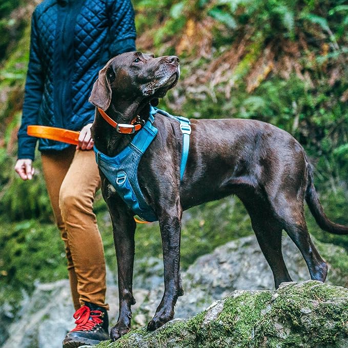 Kurgo Journey Air Dog Harness - Secure Fit for Active Dogs - Padded Chest - Lightweight Ripstop Fabric - Breathable Mesh - Reflective Trim - Back Assist Handle - Coastal Blue - Small
