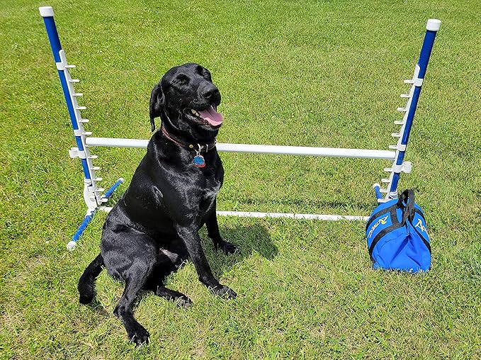 ActiveDogs Agility Low-Gravity Large Sand Bag - 20# Bag Capacity - Non-Constricting Saddlebag for Stabilizing Dog Agility Tunnel & Equipment - Indoor or Outdoor Use (Medium - 20# Bag)