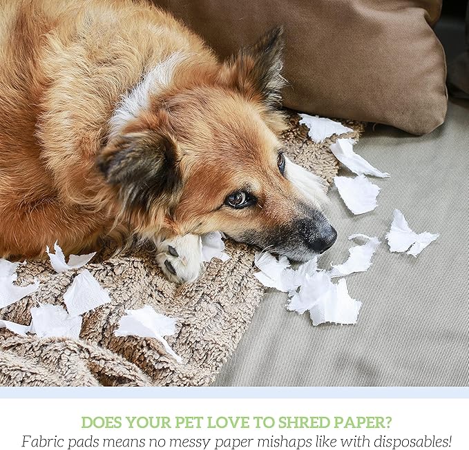 GREEN LIFESTYLE Washable Pee Pads for Dogs - Thick Heavy Absorbent Waterproof Pet Training Pads - Puppy Pads - for Puppy Playpen, Crate, Whelping Box, Potty Training (Pack of 2-18x24)