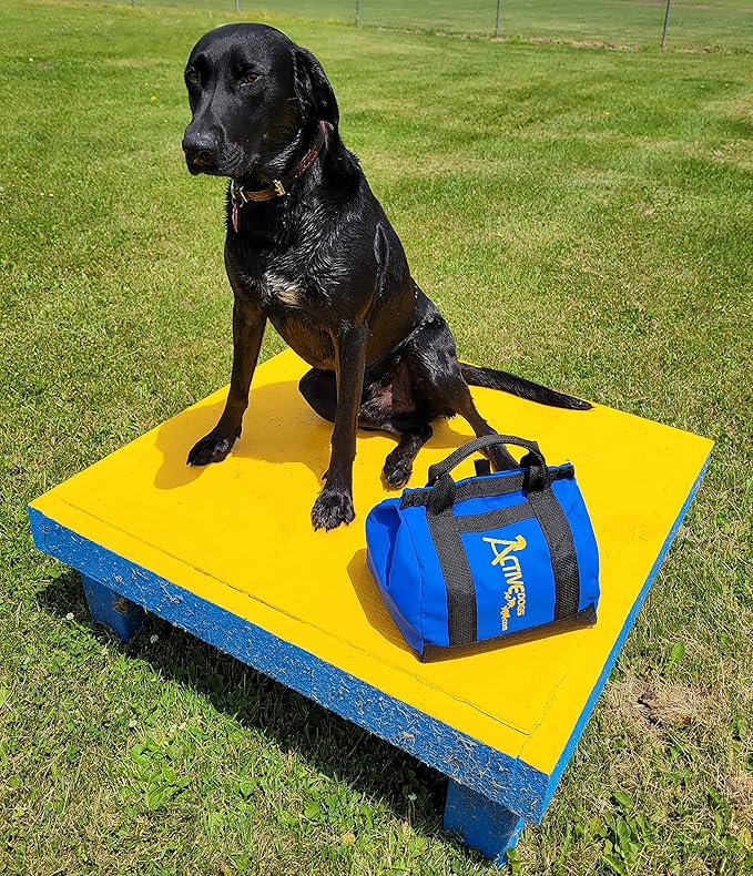 ActiveDogs Agility Low-Gravity Large Sand Bag - 20# Bag Capacity - Non-Constricting Saddlebag for Stabilizing Dog Agility Tunnel & Equipment - Indoor or Outdoor Use (Medium - 20# Bag)