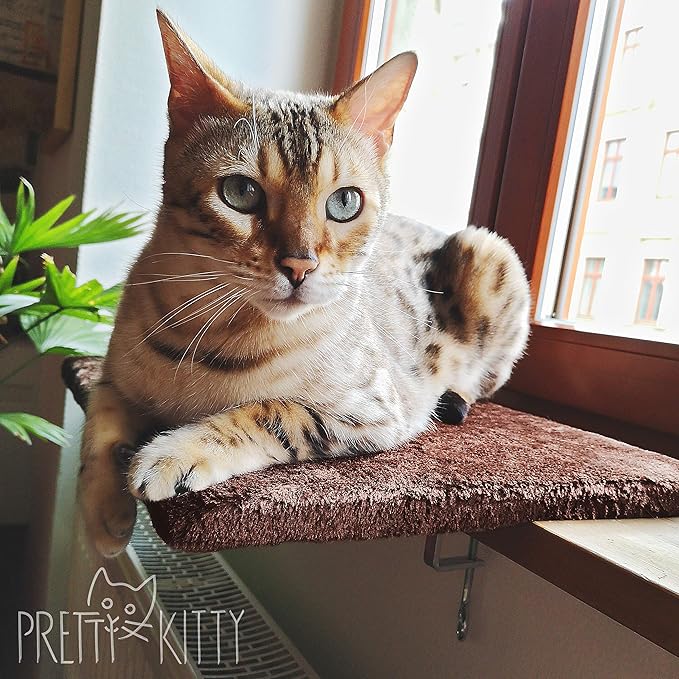 Pretty Kitty Cozy Window Cat Bed - 12.5x16in Washable, Perfect for Window Sill - Kitten & Cat Accessory