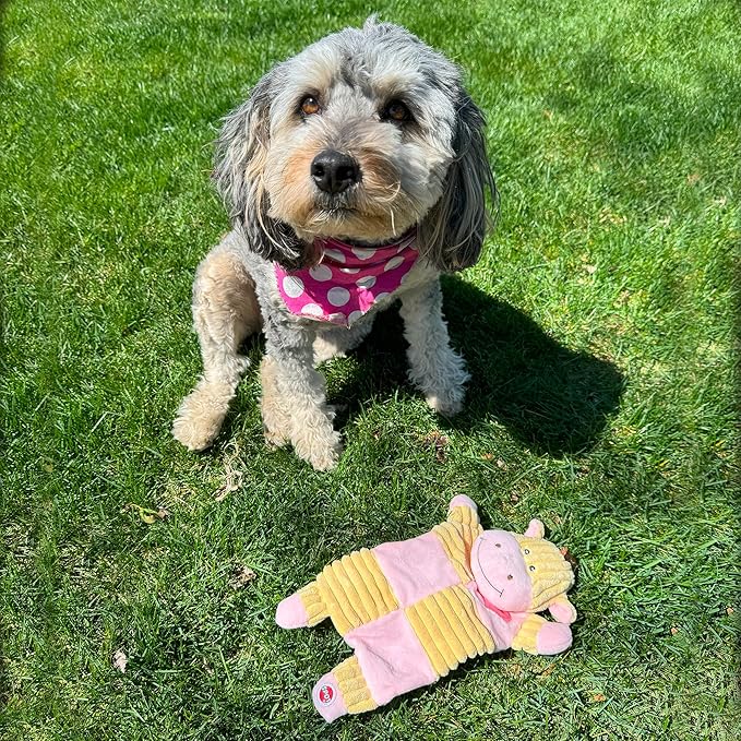 SPOT Soothers Crinkle Paper Dog Toy - 13in Stuffing-Free Calming Plush with Crinkle, Lavender Scent & Squeaker, Anxiety Relief for Dogs - 1 of 3 Animal Designs, Sent at Random