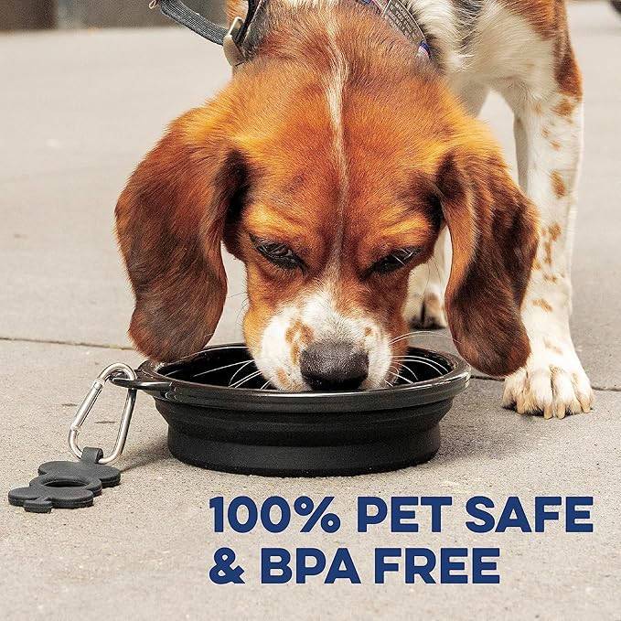 Bonza Collapsible Dog Bowls - X-Large 50 oz, Dog Travel Accessories, Silicone Portable Dogs Bowl & Water Dish with Reinforced Rim & Carabiner for Hiking, Camping, and Car Trips, Black